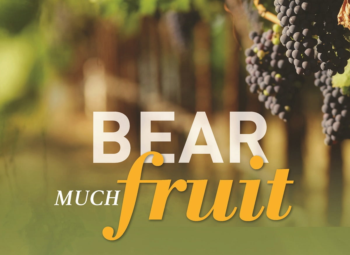 Bear Much Fruit