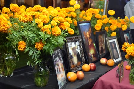 Celebrando el Día de Muertos (Todos los Difuntos)