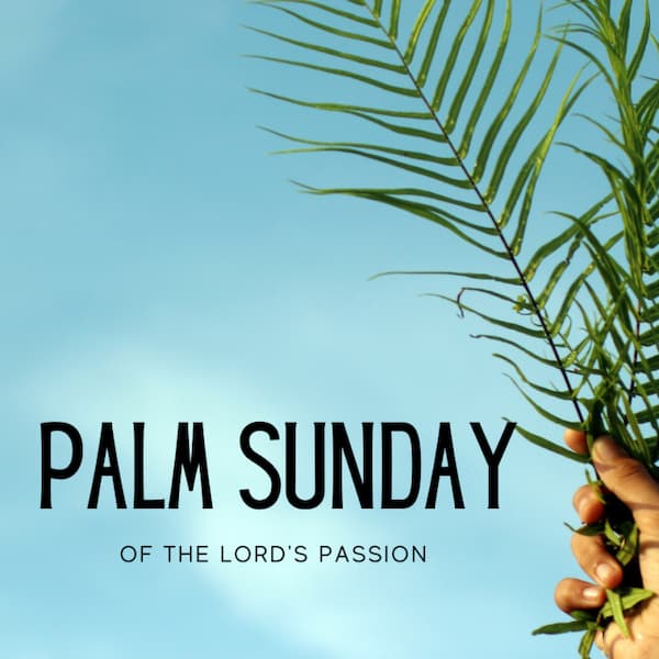 Celebrating Palm Sunday