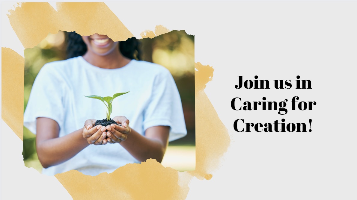 Creation Care Invites You To Meet Thursday, August 17, 2023