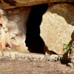 Jesus is risen – Jesus Is Present and Real – Easter reflection by Fr. Lalo Jara, Mission San Luis Rey Parish