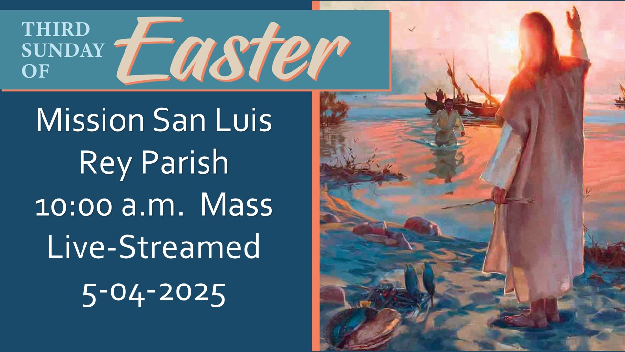 Live-stream for May 4, 2025