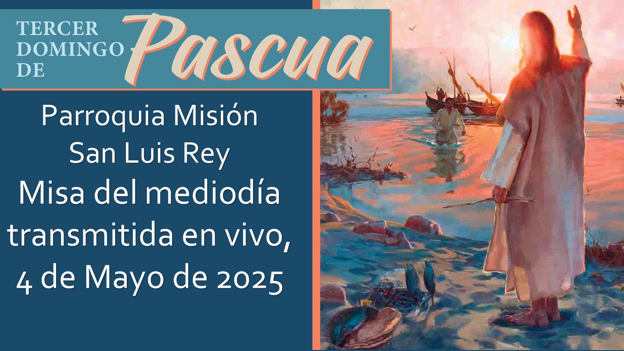 Sign in Misa de las 12 del mediodía, 5-04-25