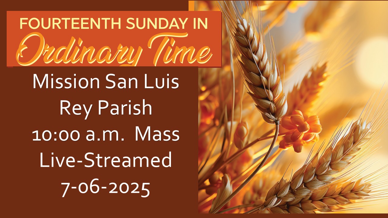 Live streamed mass for July 6, 2025 at 10 am.