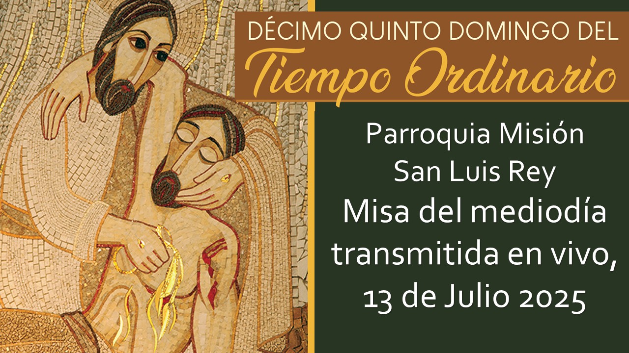 XV Domingo ordinario