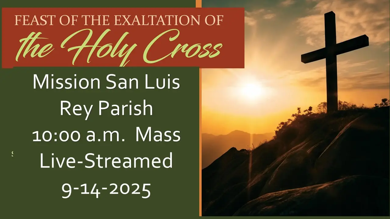 Livestream for 9-14-2025