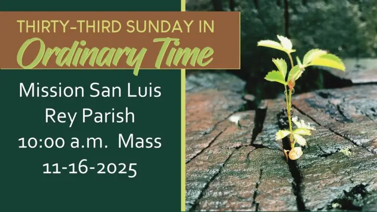 Livestream for 11-16-2025