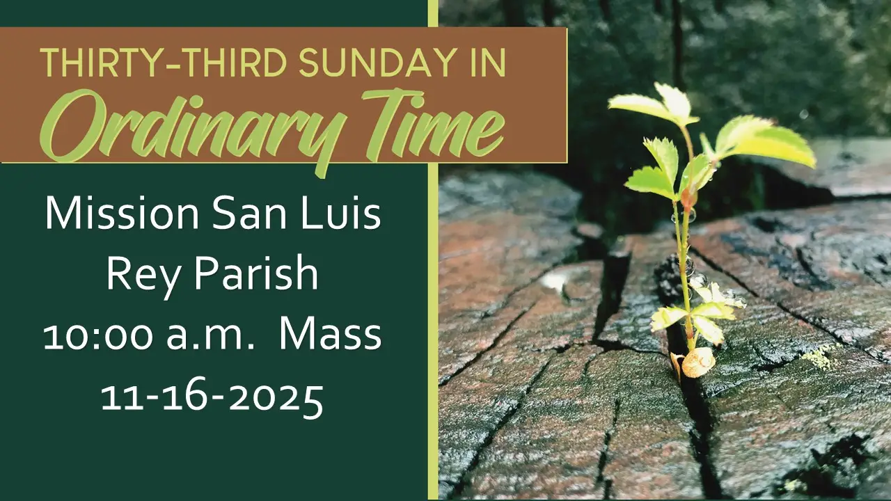 Livestream for 11-16-2025