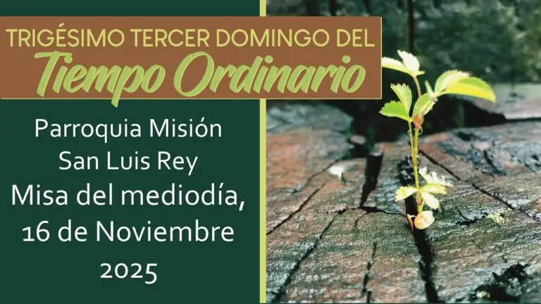 Livestream Spanish Mass for November 14, 2025
