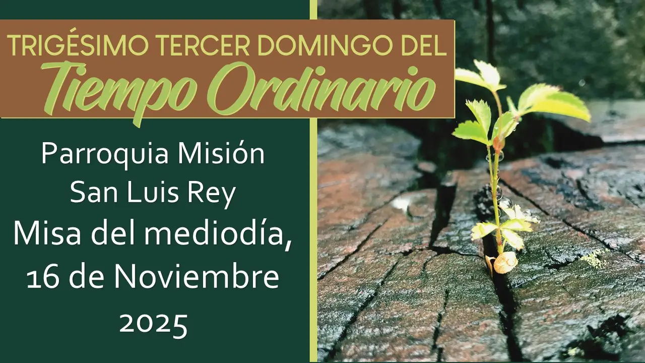 Livestream Spanish Mass for November 14, 2025