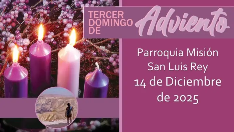 Live-streamed Spanish Mass for December 14, 2025