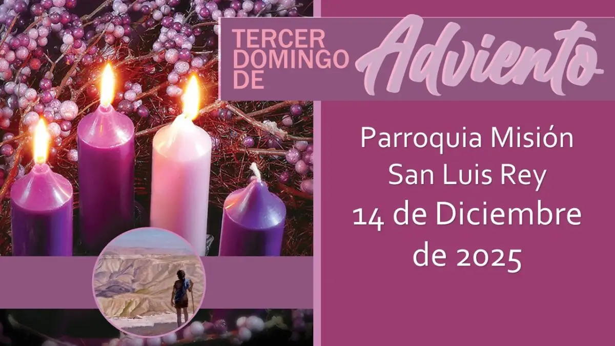 Live-streamed Spanish Mass for December 14, 2025