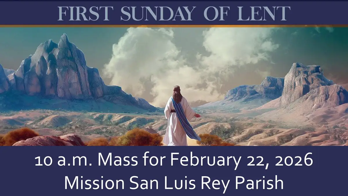 Live stream for February 22, 2026