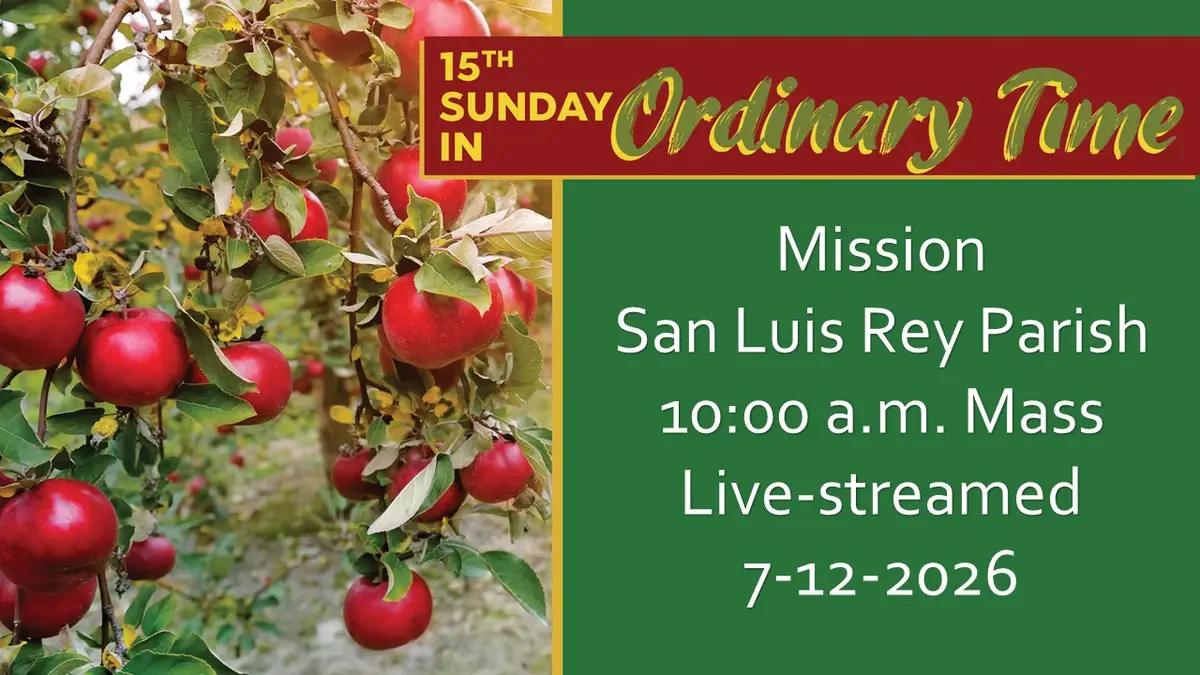 15th Sunday in Ordinary Time 2026