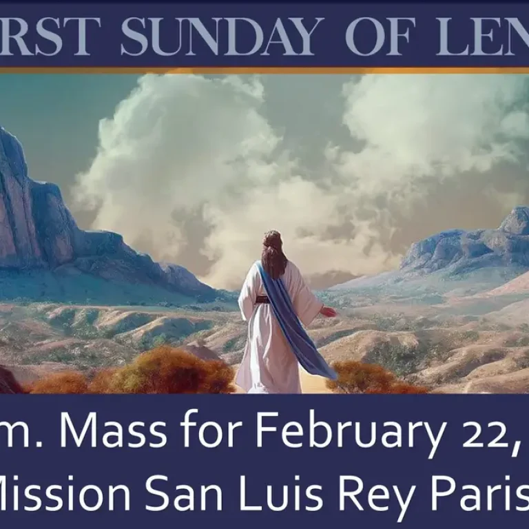 Live stream for February 22, 2026