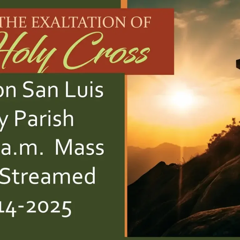 Livestream for 9-14-2025