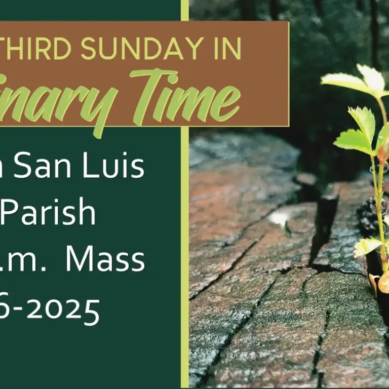 Livestream for 11-16-2025