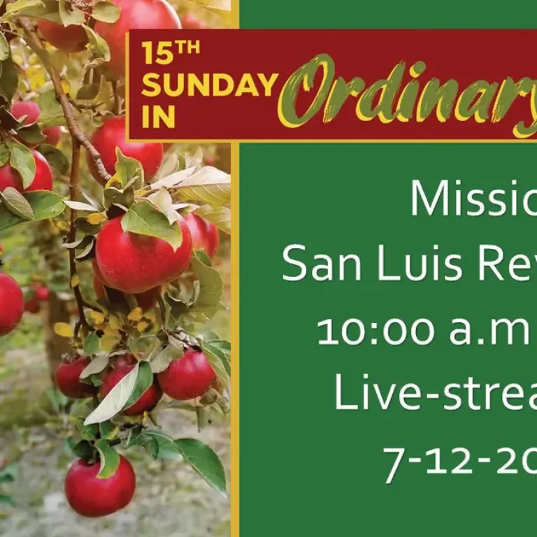 15th Sunday in Ordinary Time 2026