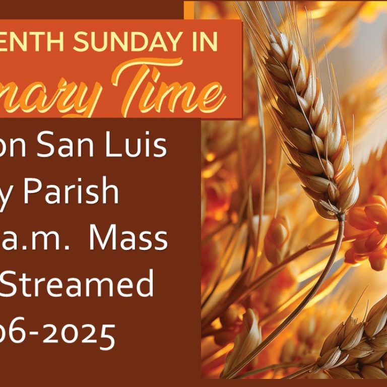 Live streamed mass for July 6, 2025 at 10 am.