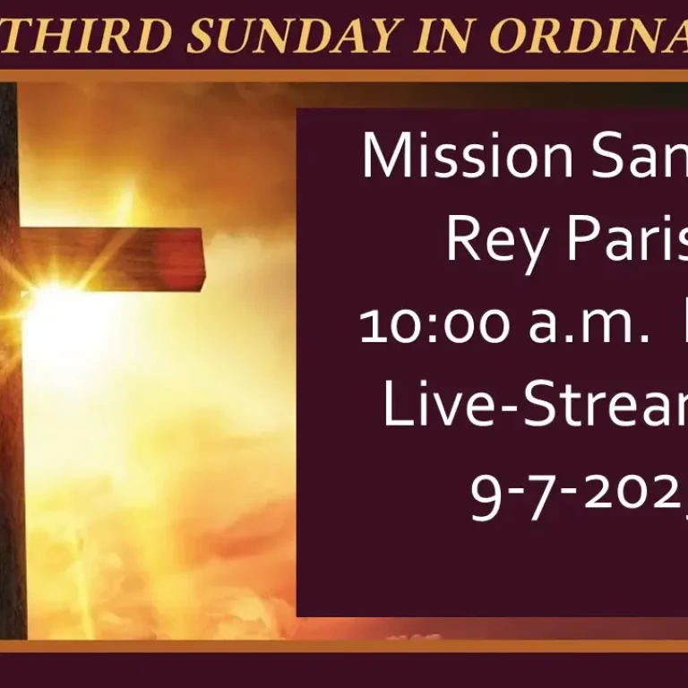 Live-stream English Mass 10 am 9-7-2025
