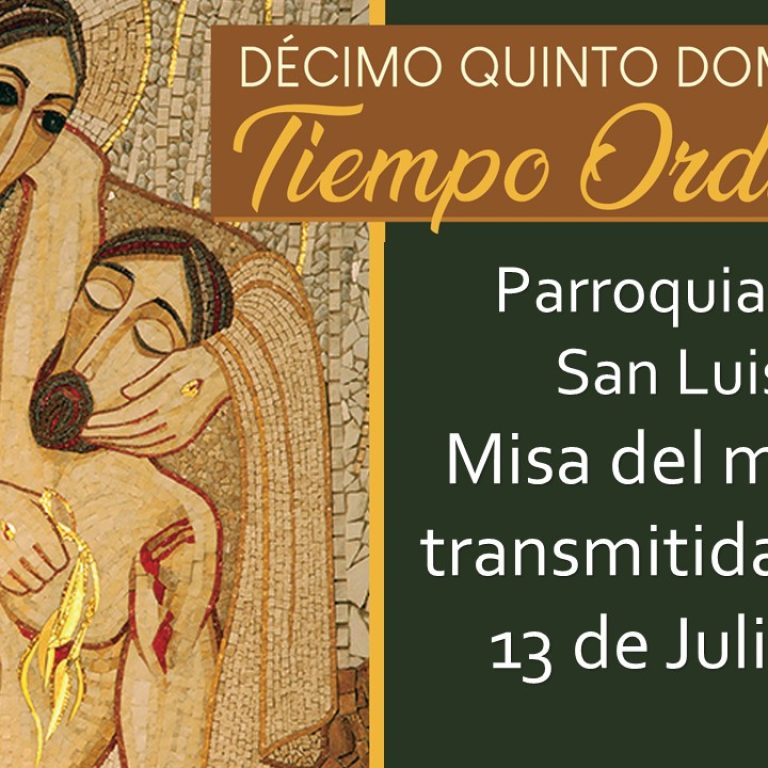 XV Domingo ordinario