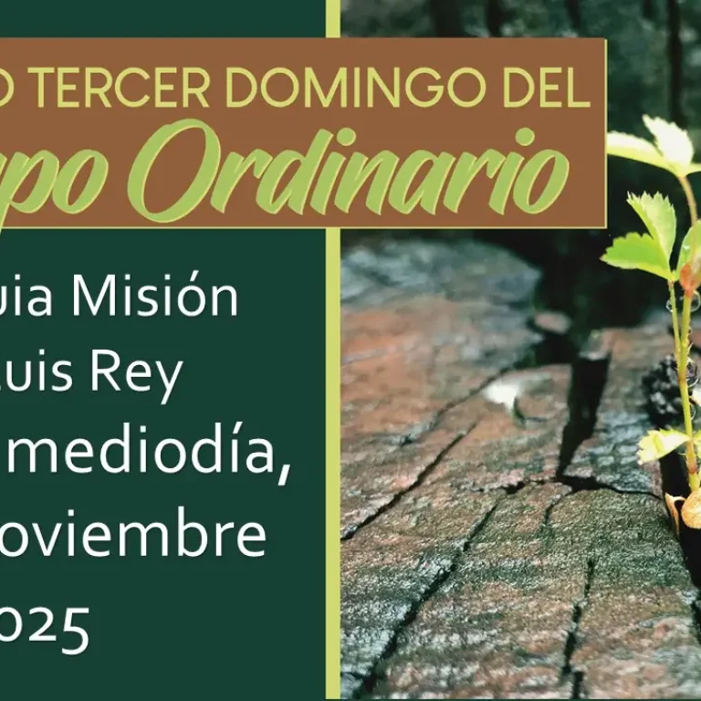 Livestream Spanish Mass for November 14, 2025
