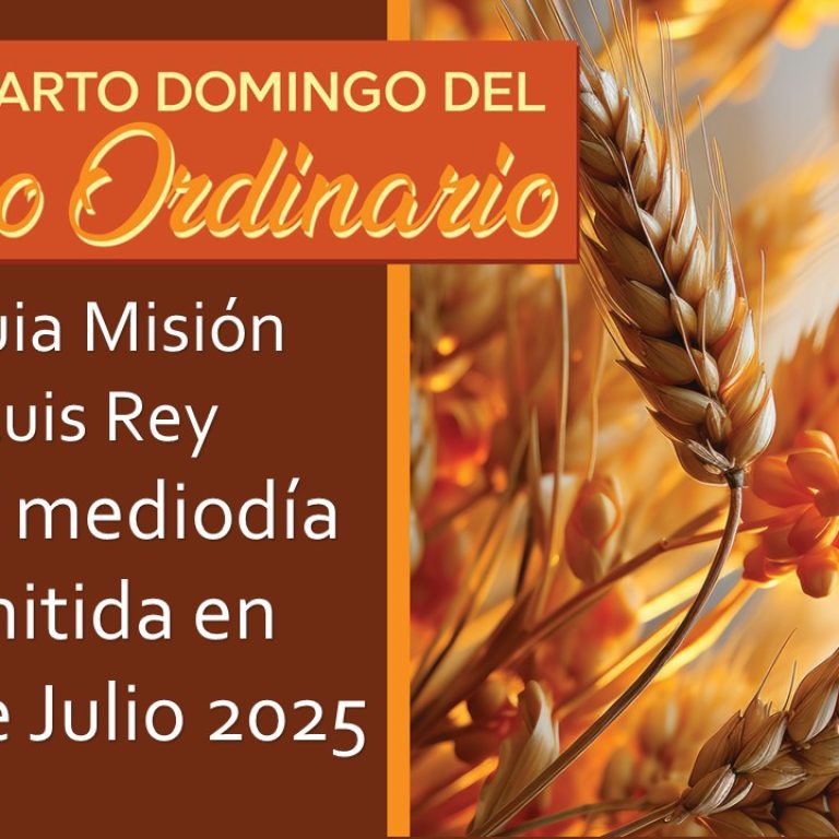 6 de Julio de 2025