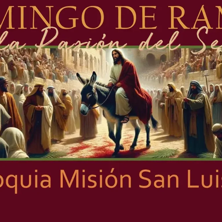Spanish Language Live-streamed mass for Palm Sunday